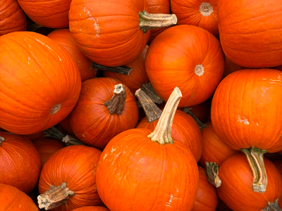 (2) Pie Pumpkins