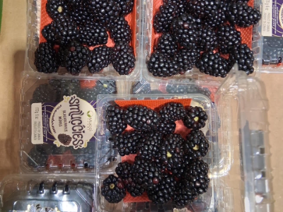 Blackberry Flat