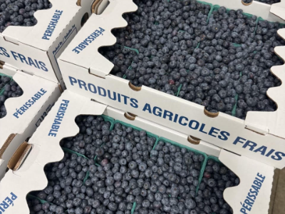 Local Blueberry Flat