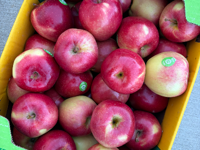 Gala Apple 1/2 Bushel