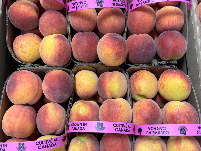 Peach Flat